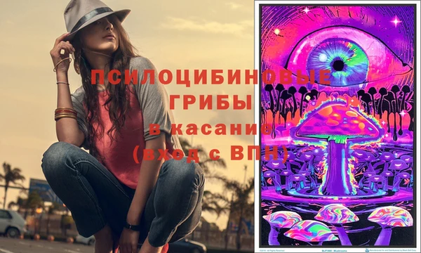 PSILOCYBIN Зеленокумск