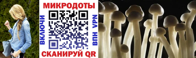 Галлюциногенные грибы Cubensis  Белокуриха 