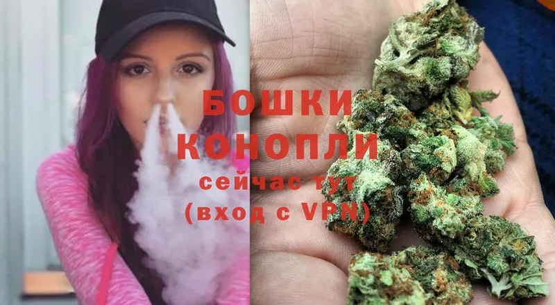 Бошки Шишки SATIVA & INDICA  OMG ONION  Белокуриха 